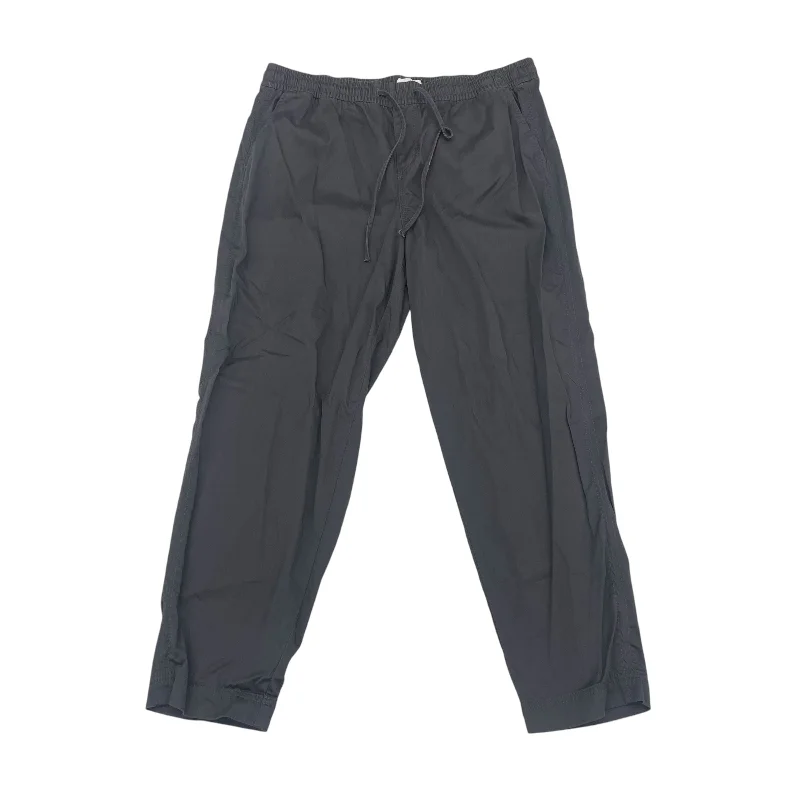 Insulated ski pants for alpine adventure warmth -Pants Cargo & Utility By Lou And Grey In Grey, Size:L